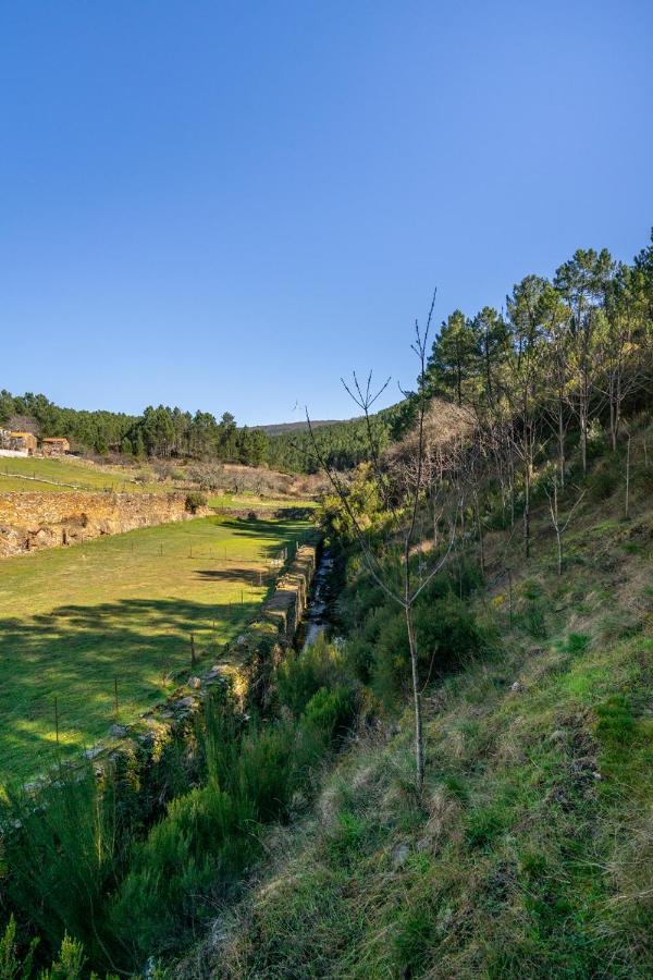 Aradas, Pampilhosa Da Serra, Casa Da Oliveira, Wifi, Ar Condicionado, Churrasqueira, Parqueamento, By Ig Vila Unhais-o-Velho Exterior foto